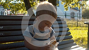 Little kid sitting on a bench and eating bun