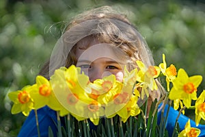 Little kid smelling spring narcissus flower outdoor. Child play in Spring garden. Kids face near Blooming cherry tree