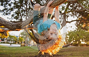 Little kid on a tree branch. Climbing and hanging child. Portrait of a beautiful kid in park among trees. Extreme kid