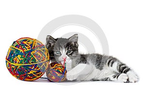 Little kitten with a ball of yarn