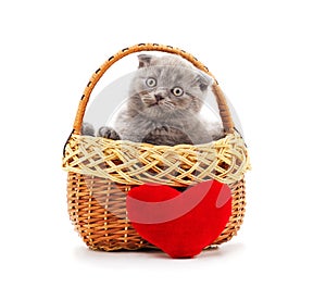 Little kitten in the basket with a toy heart