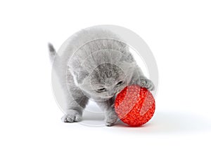 Little kitten playing with ball