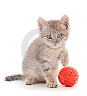 Little kitten playing with a ball of yarn