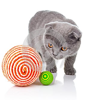 Little kitten playing with balls on white