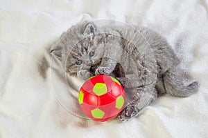 Little kitten plays with a ball