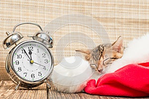 Little kitty is sleeping soundly in Santa hat next photo