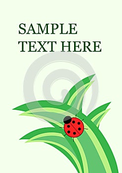 Little ladybug on grass