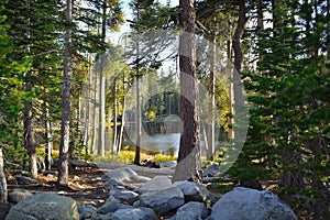 Little lake in the High Sierras