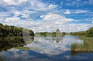 Little Lake (Kis Balaton) photo