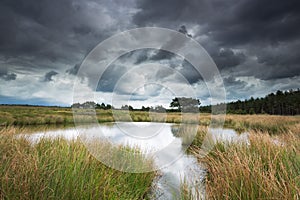 A little lake in National Park De Hoge Veluwe.