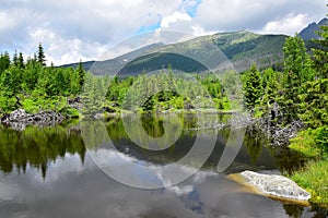 The little lake Rakytovske plieska in the High Tatras, Slovakia