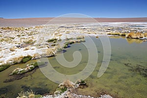 Little lake at the Salar de Arizaro at the Puna de Atacama, Argentina photo