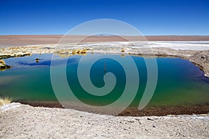 Little lake at the Salar de Arizaro at the Puna de Atacama, Argentina