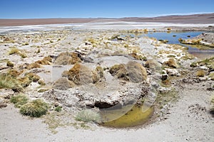 Little lake at the Salar de Arizaro at the Puna de Atacama, Argentina