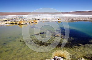 Little lake at the Salar de Arizaro at the Puna de Atacama, Argentina