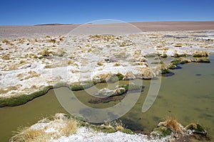 Little lake at the Salar de Arizaro at the Puna de Atacama, Argentina