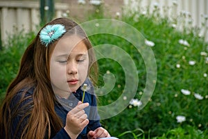 Little latina girl in garden contemplating dandelion