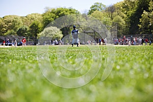 Little league baseball