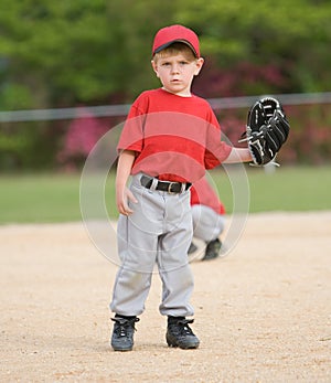 Little League Baseball Player