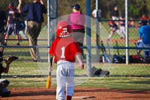 Little league batter from behind