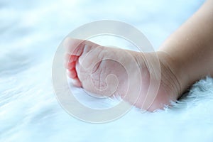 Little legs of a newborn baby. Feet shot close up