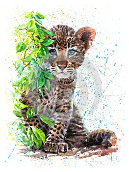 Little Leopard watercolor painting with white background