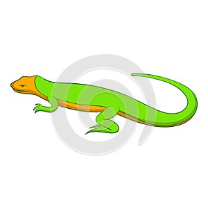 Little lizard icon, cartoon style
