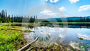 Little McGillivray Lake, near Sun Peaks in British Columbia, Canada