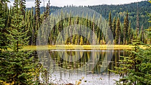 Little McGillivray Lake in the Shuswap Highlands