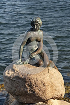 The Little Mermaid Den Lille Havfrue, Copenhagen, Denmark