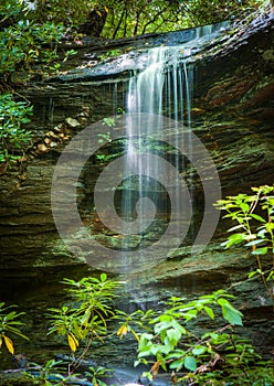 Little Moore cove falls in Pisgah Forest