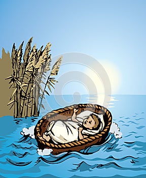 Little Moses in a basket. Vector drawing