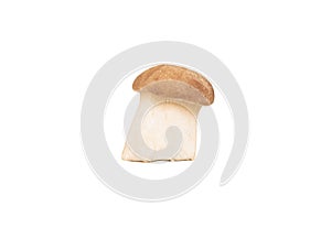Little mushroom eringi