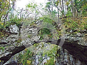 The Little natural bridge in the Rakov Skocjan Valley Rakek or Notranjski regijski park Rakov Skocjan, Notranjska Regional park