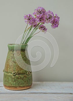 Little nelks in a vase, still-life