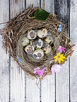 A little nest with eggs on a wooden table