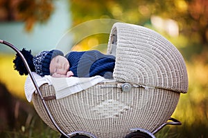 Little newborn baby boy, sleeping in old retro stroller in fores