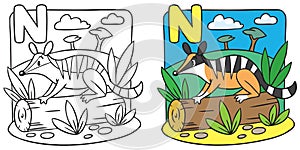 Little numbat coloring book. Alphabet N