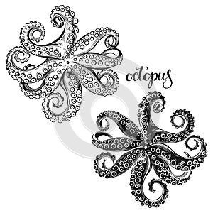 Little octopus. Hand drawn vector illustration, 2 isolated  elements on white background. Perfect for menu decoration, invitation