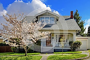 Little old cute house with a blooming cherry tree.