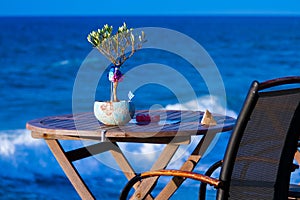 Little olive tree on the table against the sea