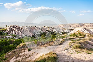 little orchard near Uchisar village in Cappadocia