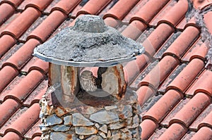 Little owl on a stone chimney