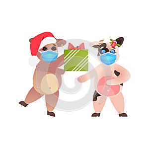 Little oxes in santa hats cows wearing masks to prevent coronavirus pandemic new year winter holidays celebration