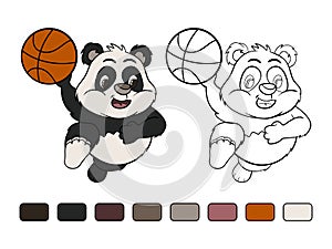 Little panda is playing basketball