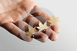 Little paper cutout maple leaves on hand
