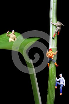 Little People Climbing Giant Tree