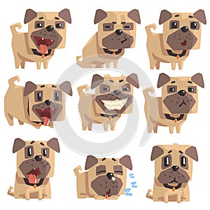 Little Pet Pug Dog Puppy With Collar Set Of Emoji Facial Expressions And Activities Cartoon Illustrations