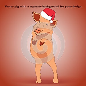 A little pig in a hat Santa Claus is standing and waving his hoof