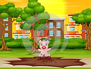 Little pig playing a mud puddle in the city park